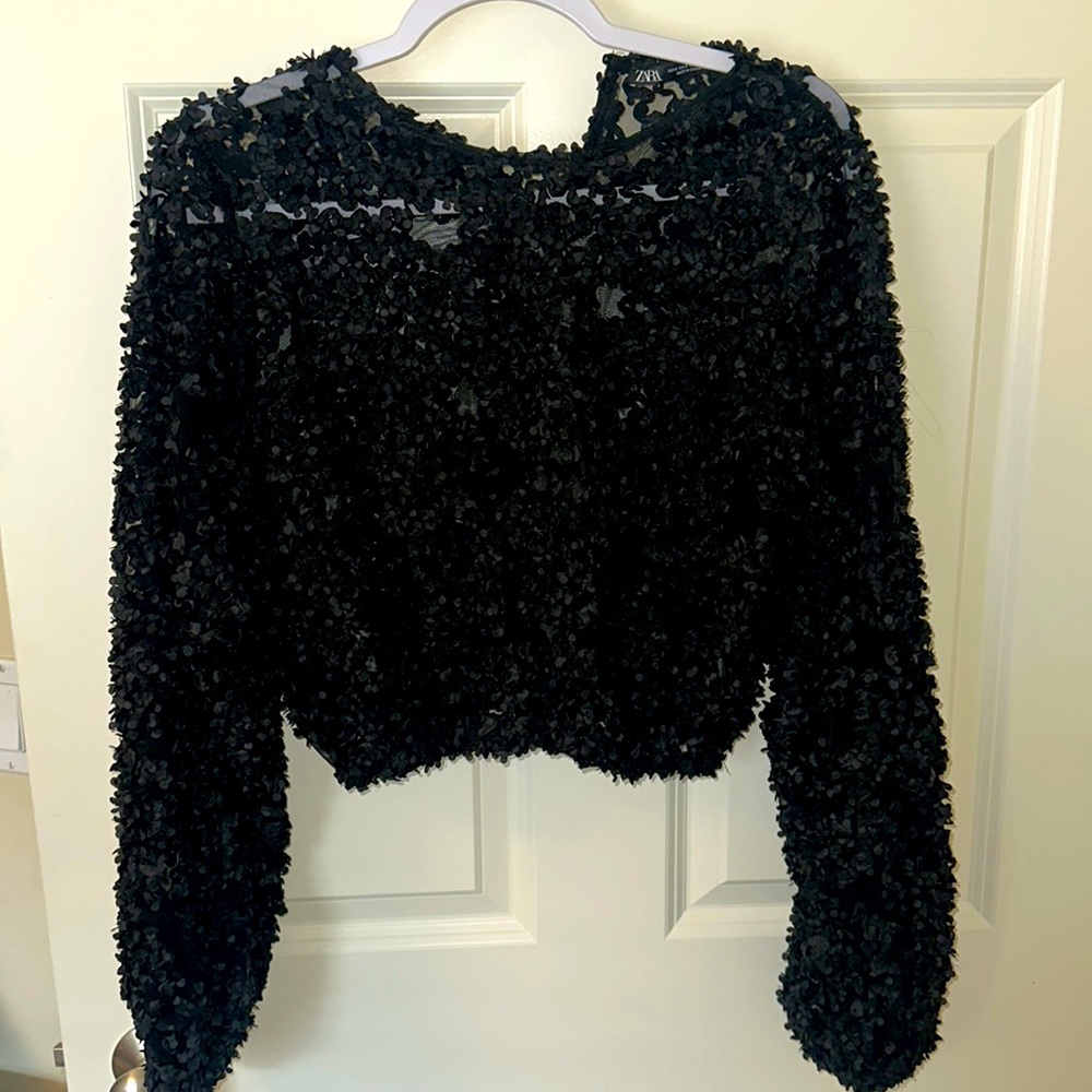 Zara sheer top